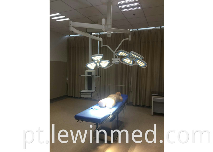 LED shadowless operating light